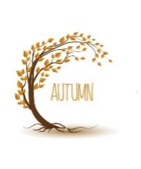 Autumn Brighten Rejuvenate