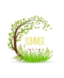 Summer Revitalise Protect